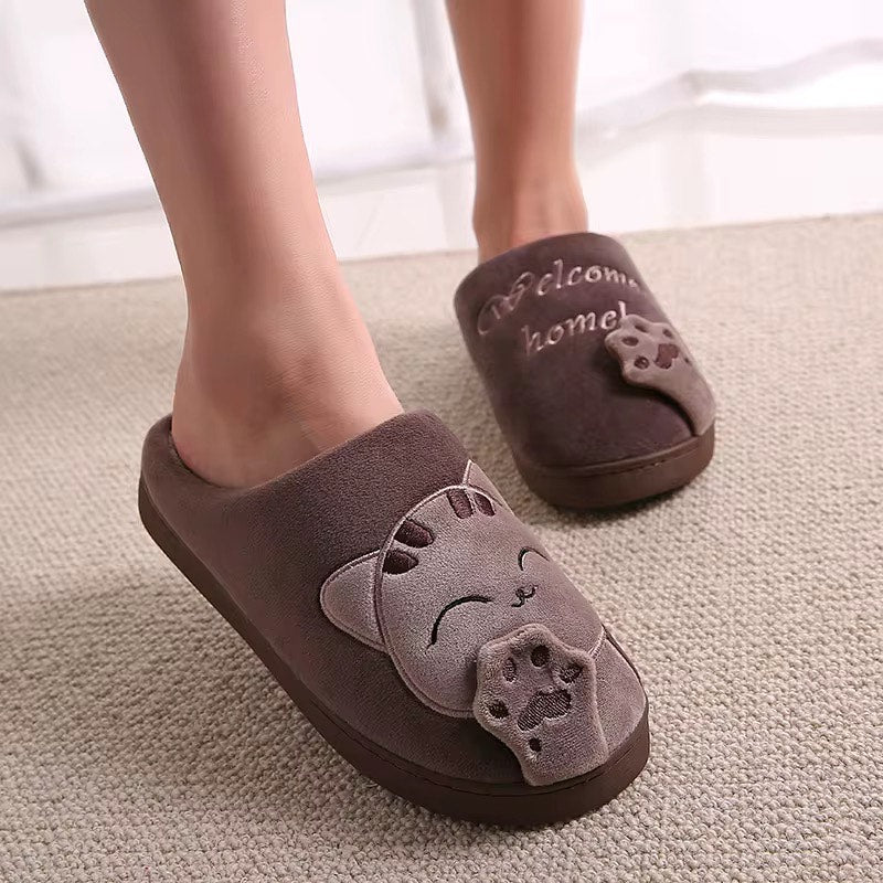 Purrfect Fit Brown - Limited Edition