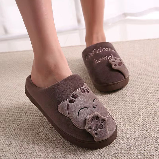 Purrfect Fit Brown - Limited Edition